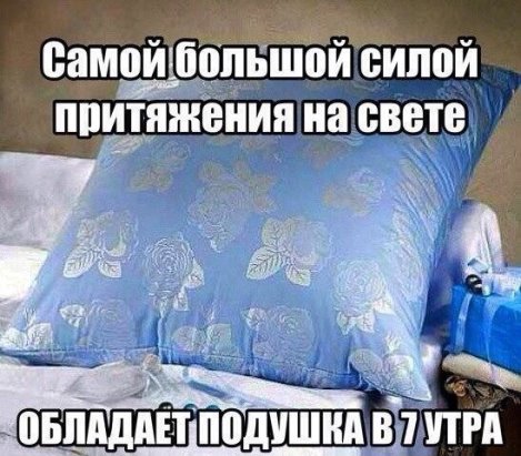 Начинаем трудо выебудни!