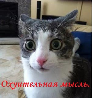 Госдума одобрила во II чтении введение штрафов за использование анонимайзеров