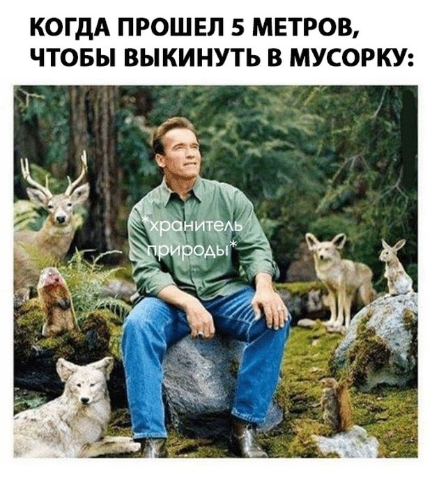 Прикольные картинки
