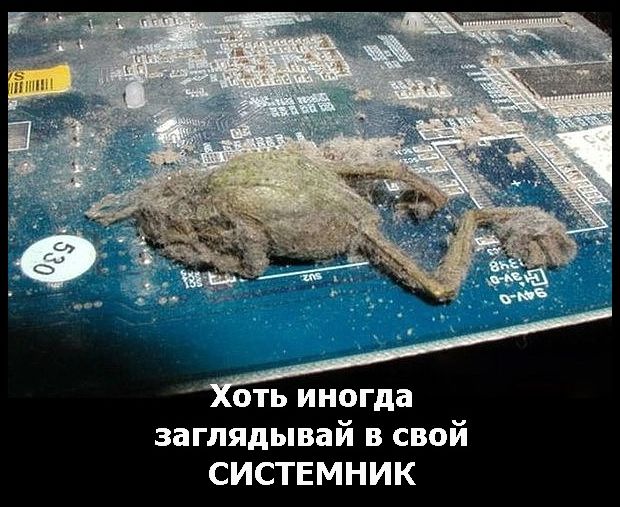 Специфический юмор
