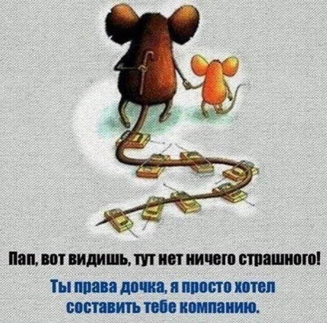 Немного картинок для настроения 11.12.19