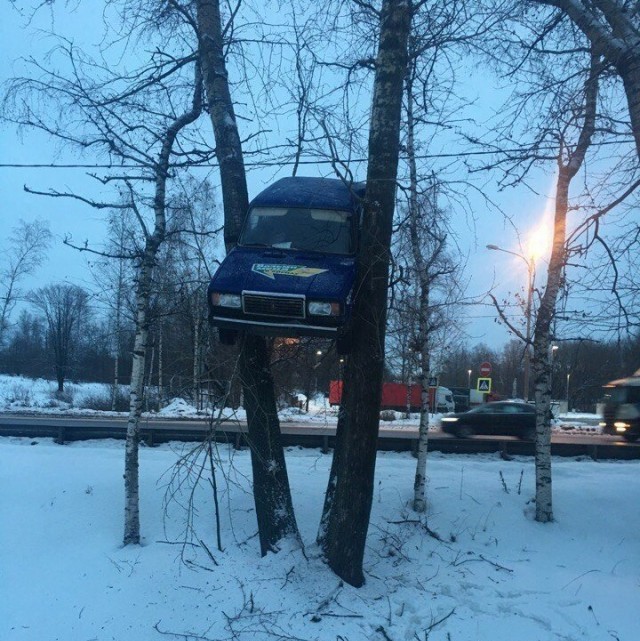 Смешные и грустные картинки