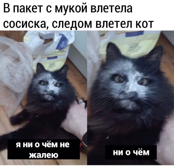 Бредзона 15.04.2020