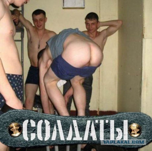 Фотожаба: ТВ программа