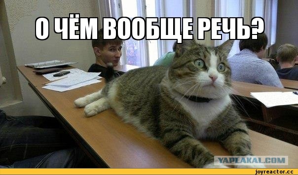 Что есть современный брак и почему это не семья