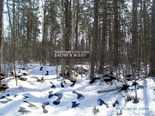 Не надо мусорить