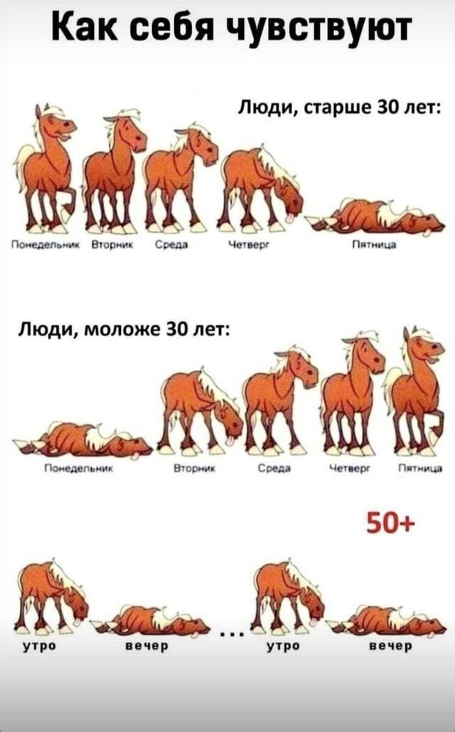 Картинки 13.11.21