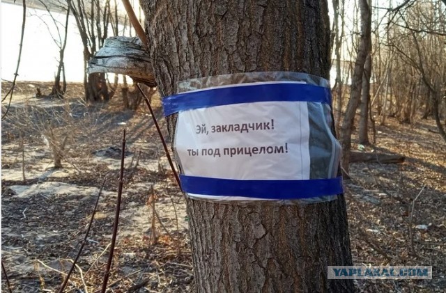 Закладчики