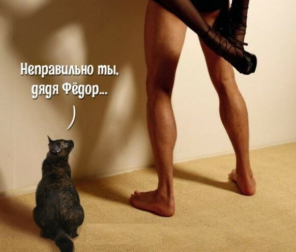Так себе картинки 13.04.22