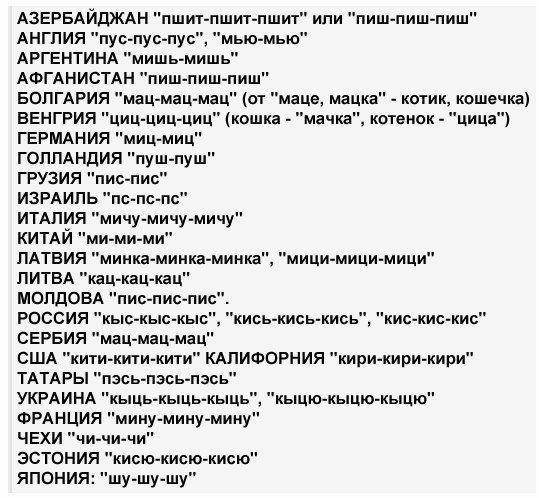 О пользе звукового пингования случайных котов