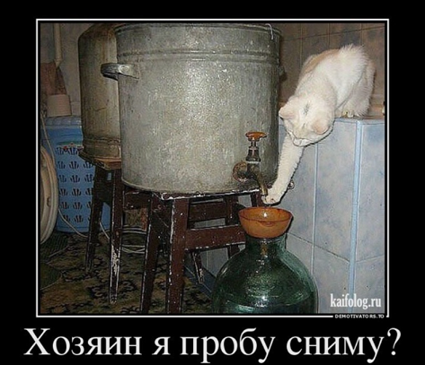 Самогонщица