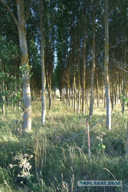 500 км. по Испании пешком