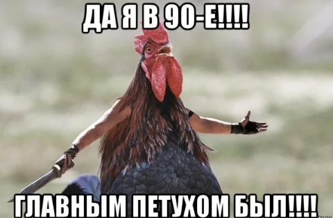 Кочету подарите