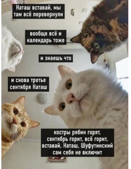 Стопэ ребята