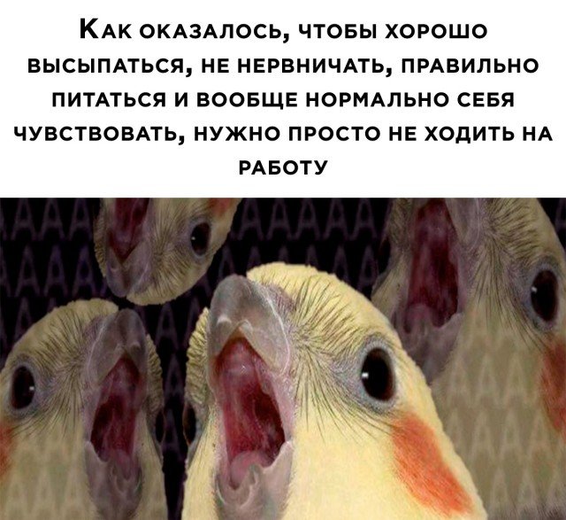 Картинки и мемы, всем хороших выходных