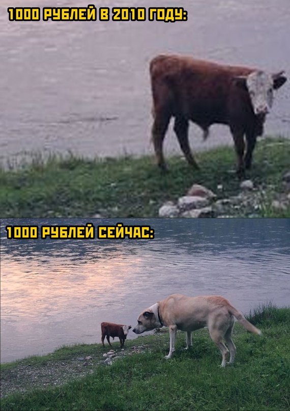 Картинки и мемы для настроения - 119