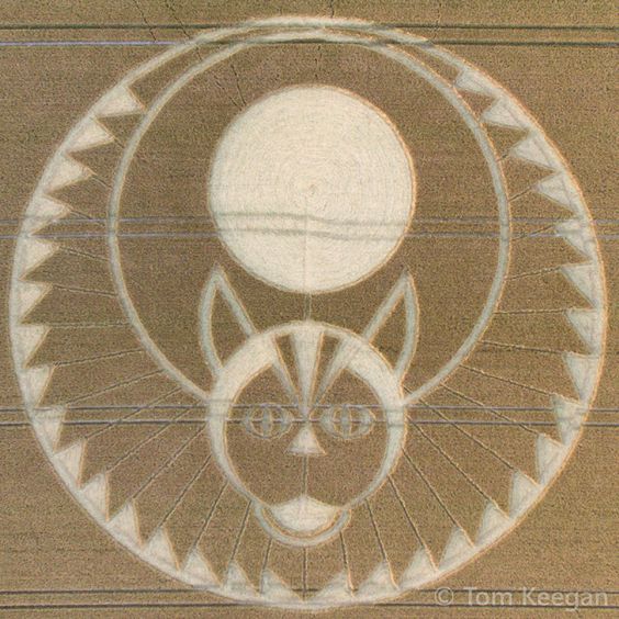 Прикольные и просто красивые картинки 14.06.24