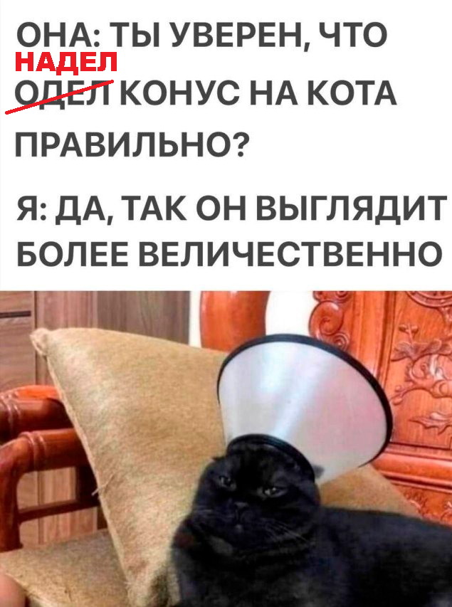 Картинки от Scodero