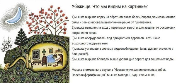 Всего понемногу. От 21.11.2024.