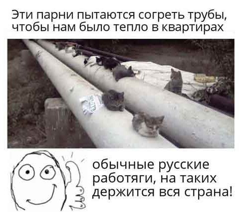 Завалялось тут случайно немного забавных картинок