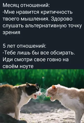 Картиночки, баянчики 13 марта
