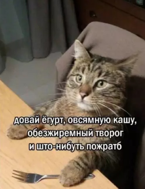 Котямбосы