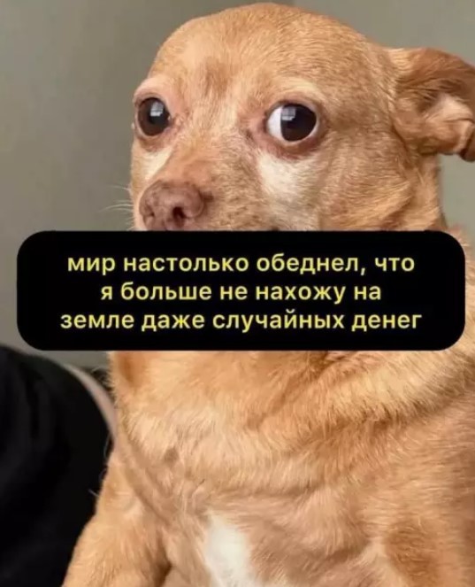 Картиночки, баянчики 19 июля