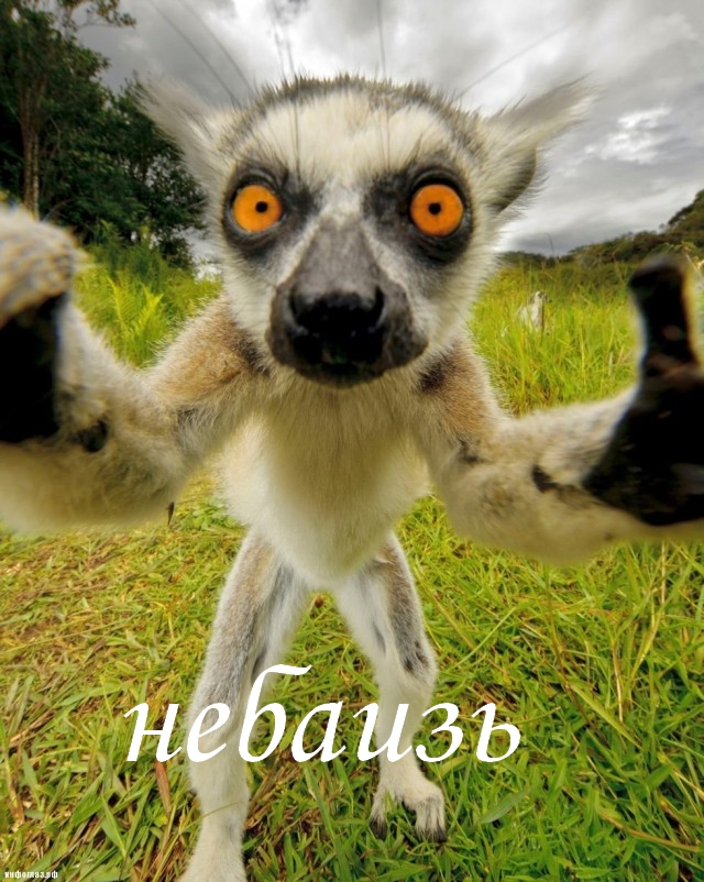 Ты кто?!