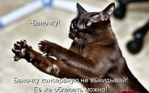 В Крыму все плохо?