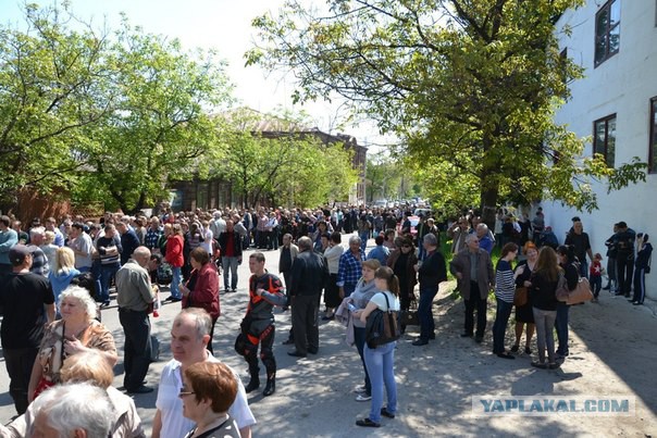 Подборка фото с референдума