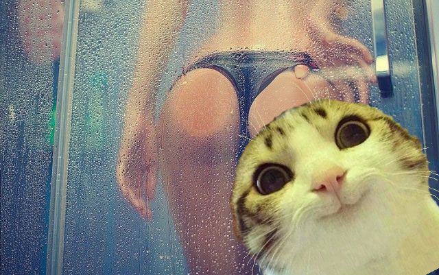 Душ