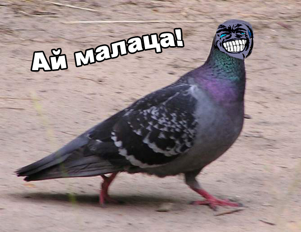 Алла, я в бар