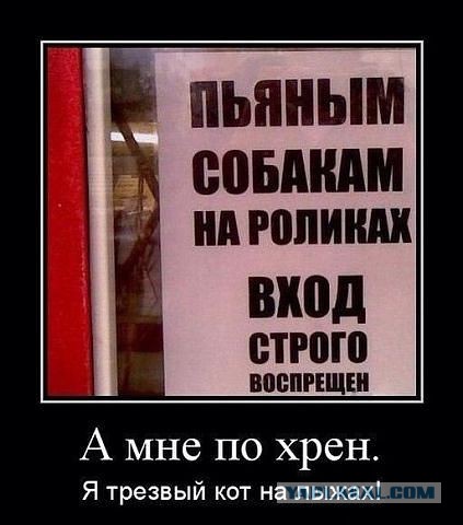 Весёлое из сети