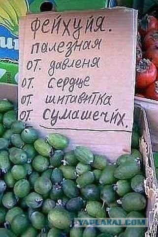 Весёлое из сети