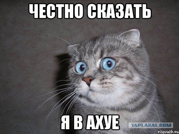 Водпроводчики, АУ!