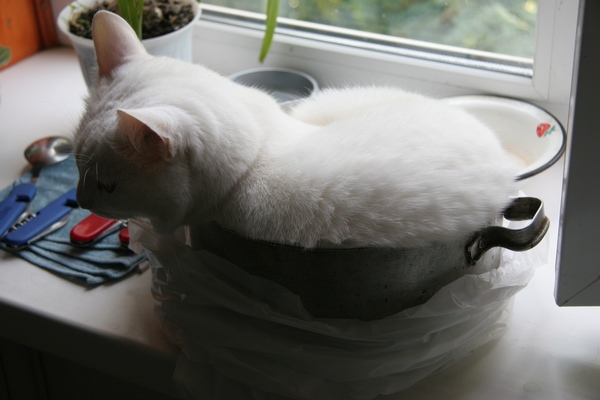 Фотоподборка очень удобных кастрюль