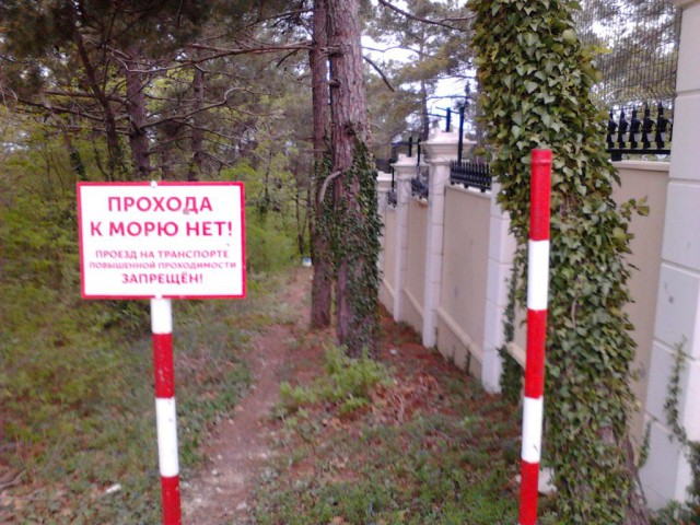 Дача патриарха