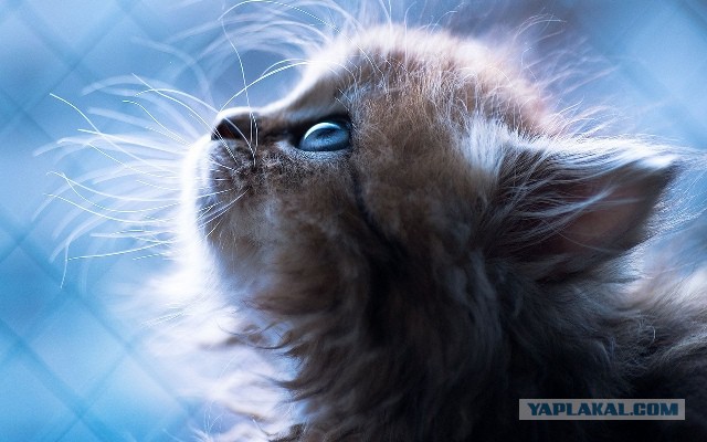 10 самых удачных фотографий апреля