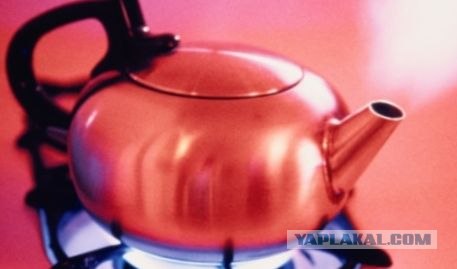 Совсем без чувств