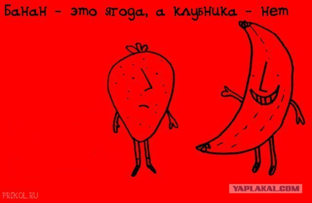 А вы знали, что...