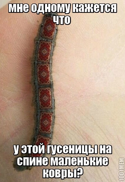 Сборник "баянов" со всего Интернета - 2