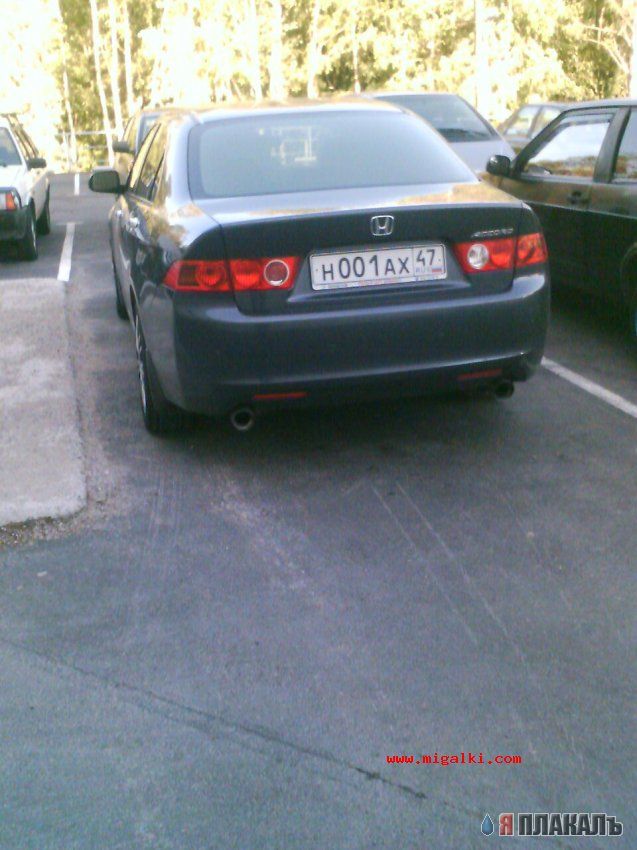 Автомобильные номера