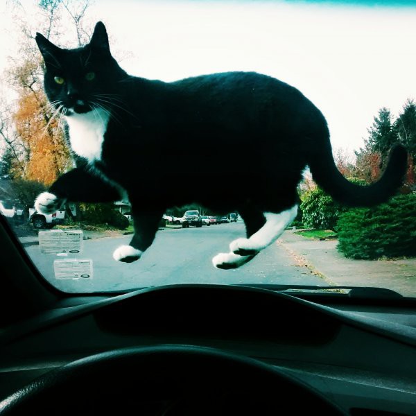 Картинки из сети, подборка