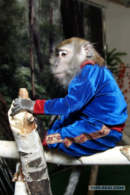 Очередная подборка фоток