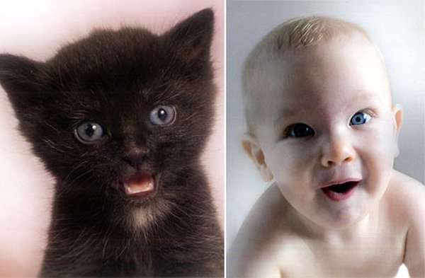 Дети и котята, позитив! (7 фото)