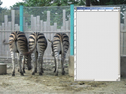 Фотожаба: Невидимый зверь