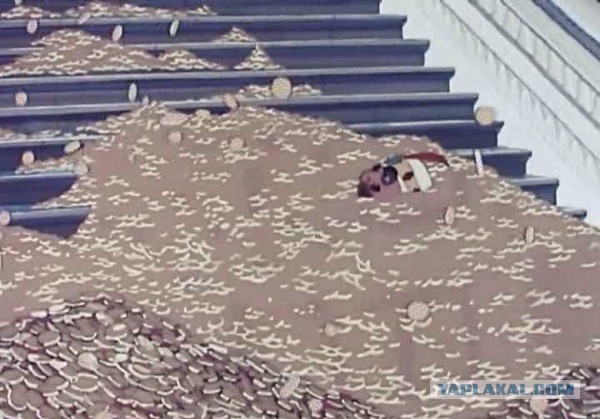 Птиц засасывает вместе с зерном на хлебозаводе