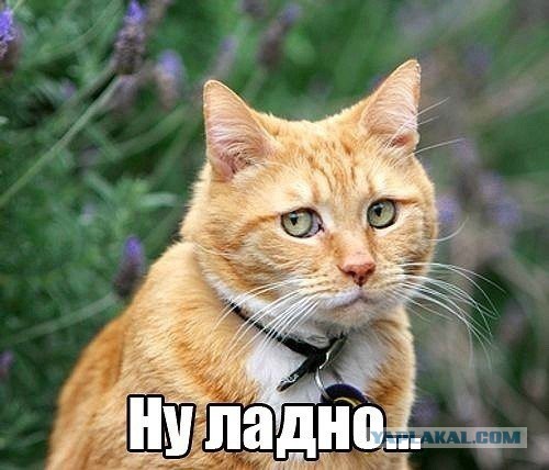 До свидания Камчатка, я обязательно вернусь!