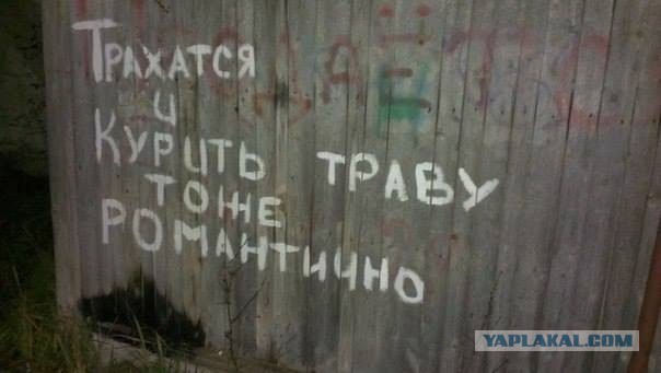 Ужасы и приколы из соцсетей 18+