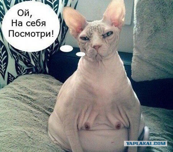Будьте осторожны, нас обманывают! 16+